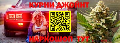 мдпв Кингисепп
