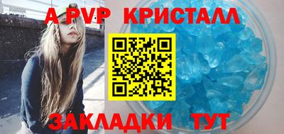 мдпв Кингисепп