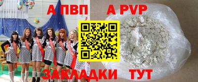 мдпв Кингисепп