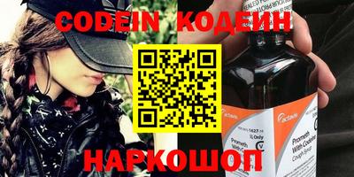 мдпв Кингисепп