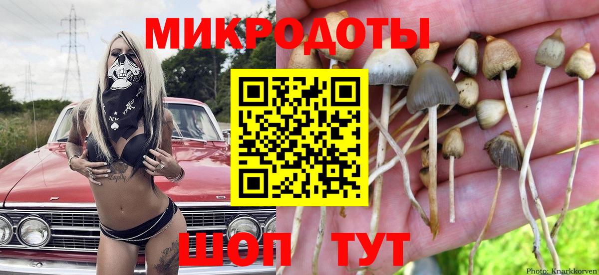 Галлюциногенные грибы прущие грибы Кировск